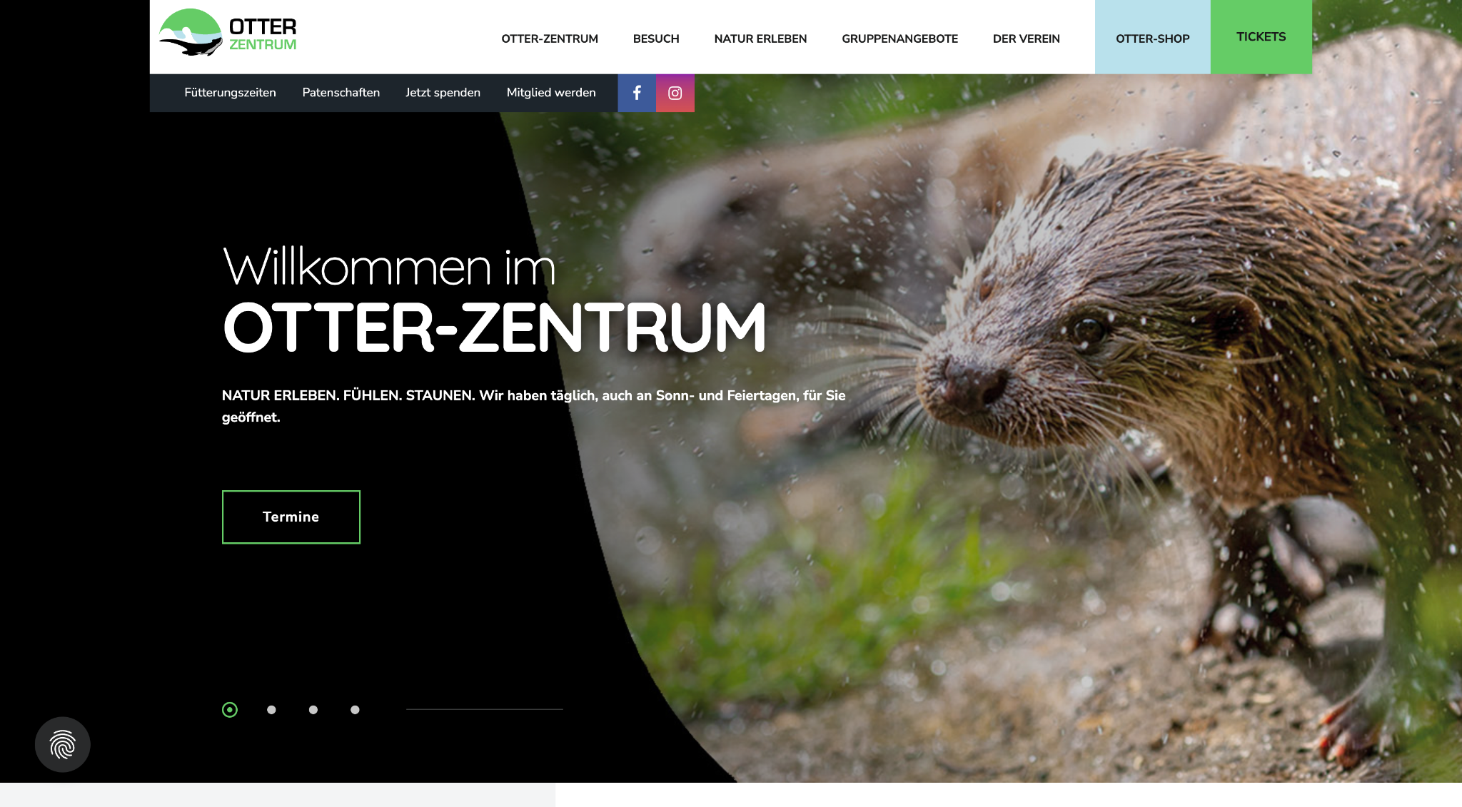 Screenshot Otter-Zentrum Hankensbüttel